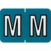 Medical Arts Press® Colwell Jewel Tone® Compatible Alpha Sheet Style Labels, "M"