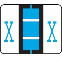 Medical Arts Press® TAB® Products Compatible Alpha Sheet Style Labels; Letter X