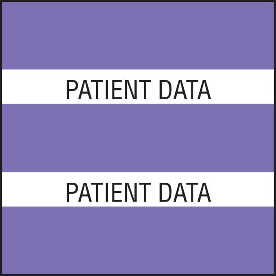 Medical Arts Press® Large Chart Divider Tabs, Patient Data, Purple