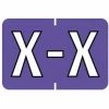 Medical Arts Press® Barkley® & Sycom® Compatible Alpha Sheet Style Labels, "X"