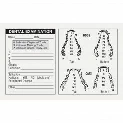 Medical Arts Press® Veterinary Examination Medical Labels, Dog & Cat Dental, White, 2-1/2x4", 100 Labels
