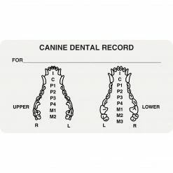 Medical Arts Press® Veterinary Examination Medical Labels, Canine Dental Record, White, 1-3/4x3-1/4", 500 Labels