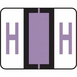 Medical Arts Press® TAB® Products Compatible Alpha Binder Sheet Style Labels, Letter H