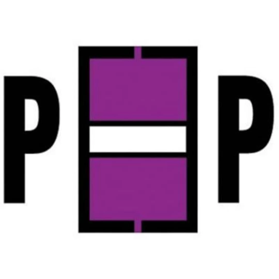 Medical Arts Press® Jeter® Compatible Alpha 3-Ring Style Labels, "P"