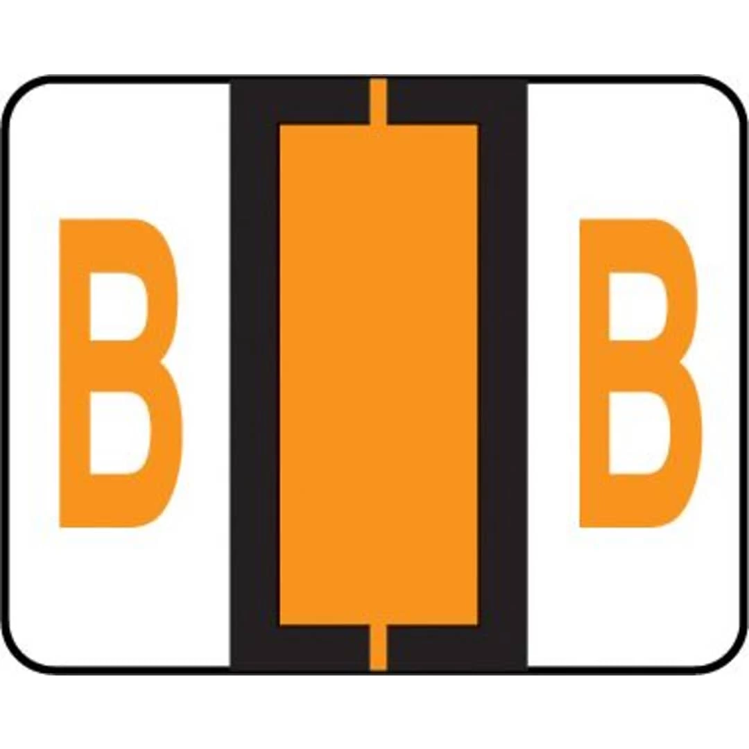 Medical Arts Press® TAB® Products Compatible Alpha Binder Sheet Style Labels, Letter B