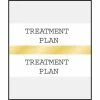 Medical Arts Press® Standard Preprinted Chart Divider Tabs; Treatment Plan, Gold