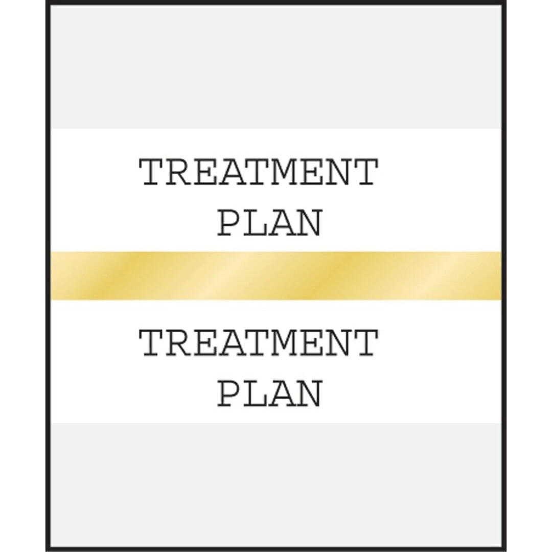 Medical Arts PressĀ® Standard Preprinted Chart Divider Tabs; Treatment Plan, Gold