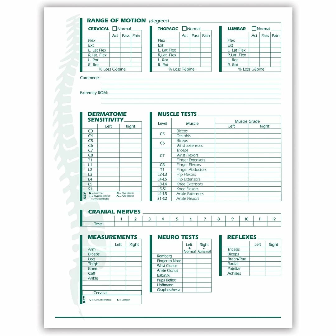 Medical Arts Press® Comprehensive Examination Form - Image 3