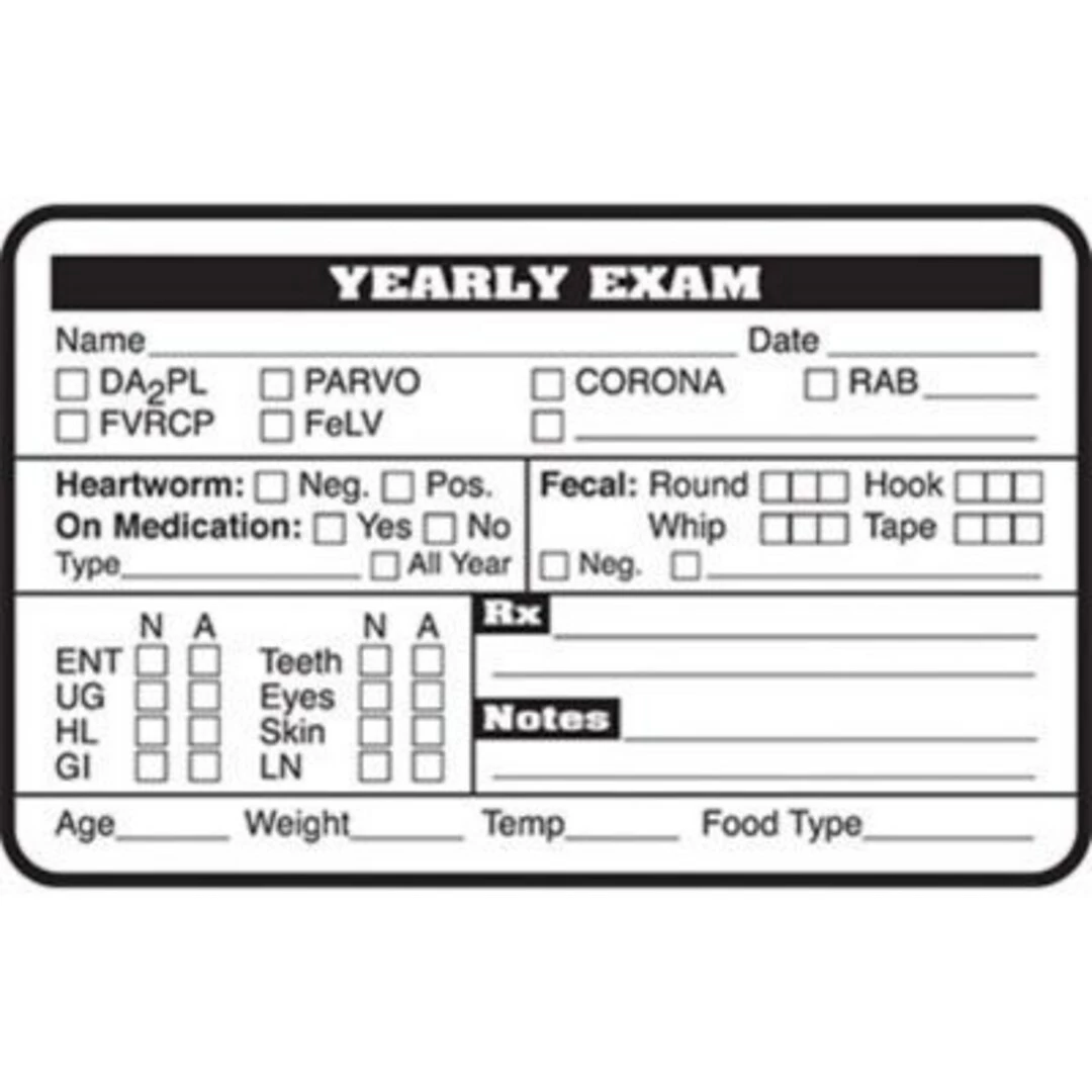 Medical Arts Press Veterinary Examination Medical Labels, Yearly Exam, White, 2.5 X 4 Inch, 100/Pack - Image 2