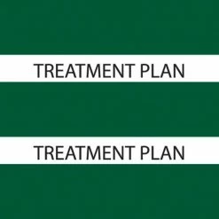 Medical Arts Press® Large Chart Divider Tabs, Treatment Plan, Dk. Green