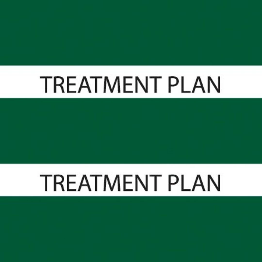 Medical Arts PressĀ® Large Chart Divider Tabs, Treatment Plan, Dk. Green
