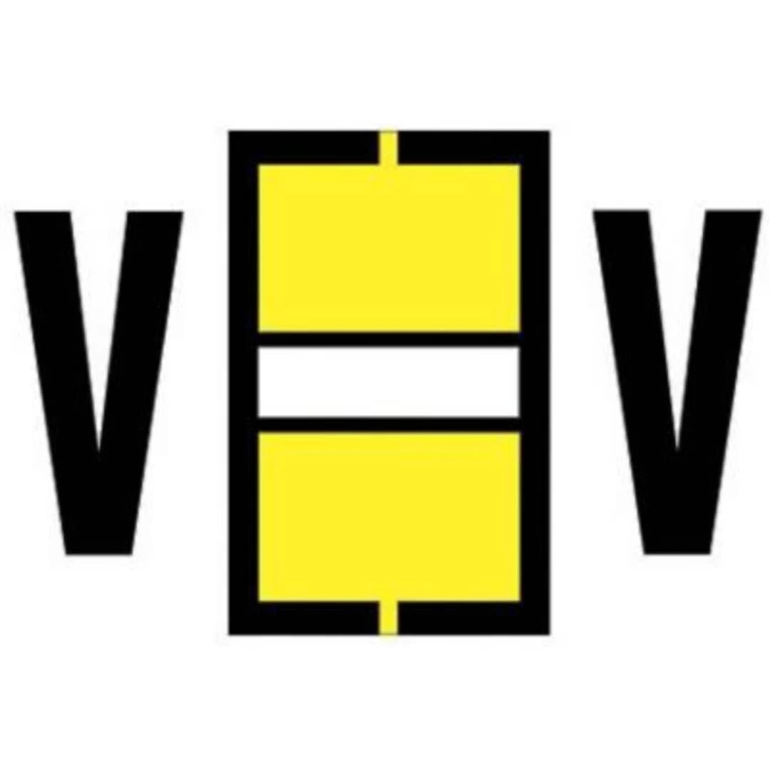 Medical Arts Press® Jeter® Compatible Alpha 3-Ring Style Labels, "V"