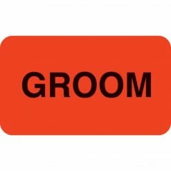 Medical Arts Press Behavior And Instruction Medical Labels, Groom, Fluorescent Red, 7/8x1-1/2", 500 Labels