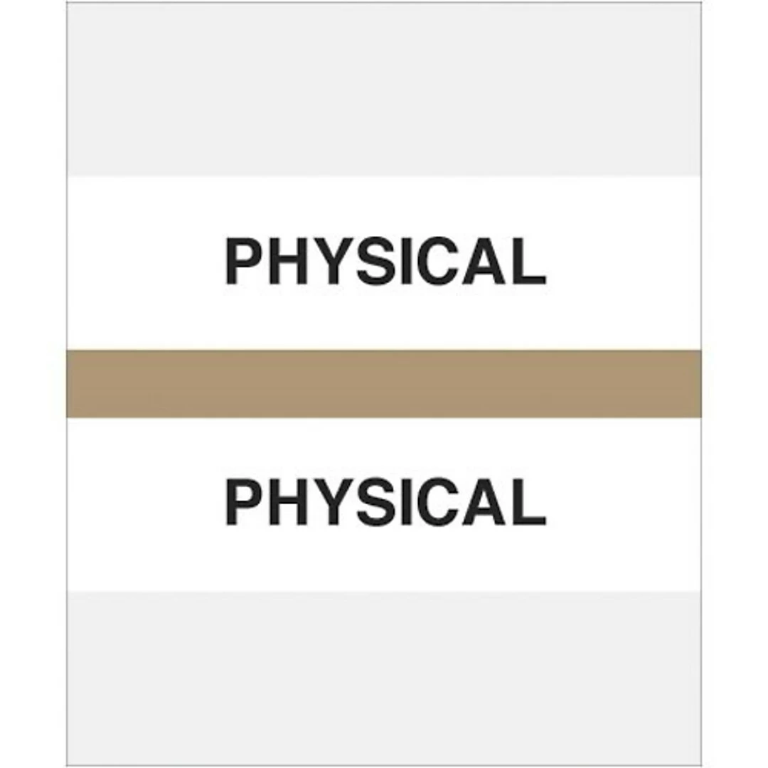 Medical Arts PressĀ® Standard Preprinted Chart Divider Tabs; Physical, Tan
