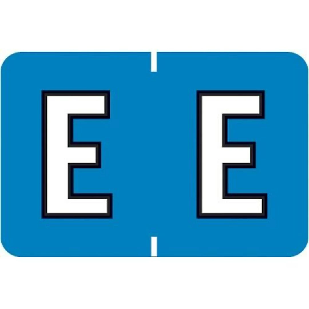 Medical Arts Press® Colwell Jewel Tone® Compatible Alpha Binder Sheet Labels; "E"