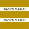 Medical Arts Press® Large Chart Divider Tabs; Physical Therapy, Olive