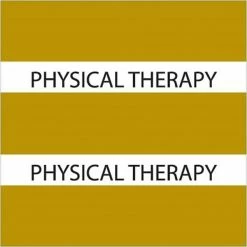 Medical Arts Press® Large Chart Divider Tabs; Physical Therapy, Olive