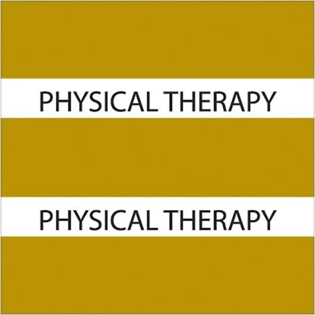 Medical Arts Press® Large Chart Divider Tabs; Physical Therapy, Olive