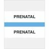 Medical Arts Press® Standard Preprinted Chart Divider Tabs; Prenatal, Light Blue