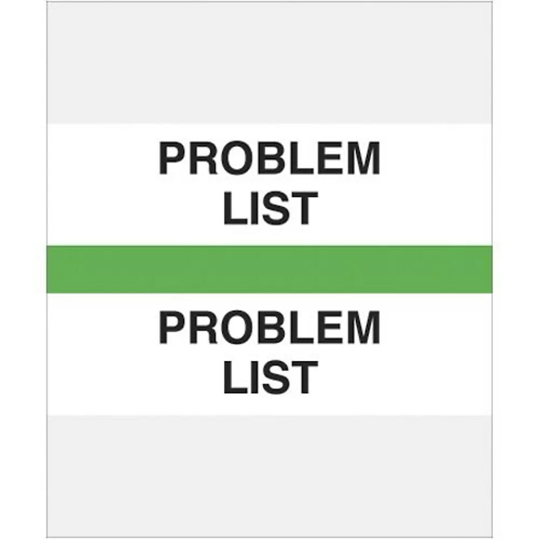 Medical Arts PressĀ® Standard Preprinted Chart Divider Tabs; Problem List, Light Green
