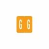 Medical Arts Press® GBS® Compatible 1900 Series Alpha Pack Labels; "G"