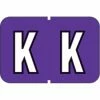 Medical Arts Press® Barkley® & Sycom® Compatible Alpha Sheet Style Labels, "K"