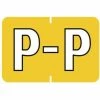 Medical Arts Press® Barkley® & Sycom® Compatible Alpha Sheet Style Labels, "P"