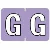 Medical Arts Press® Barkley® & Sycom® Compatible Alpha Sheet Style Labels, "G"
