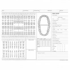 Medical Arts Press® Dental Chart, Treatment Notes, Green, No Punch