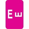 Medical Arts Press® Smead® Alpha-Z® Compatible Alpha Sheet Labels, "E"