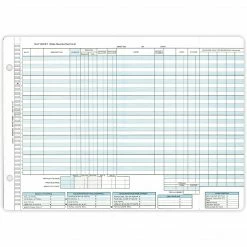 Medical Arts Press® Replacement Day Sheet Forms; Day Sheet No Deposit Slip, Format 276